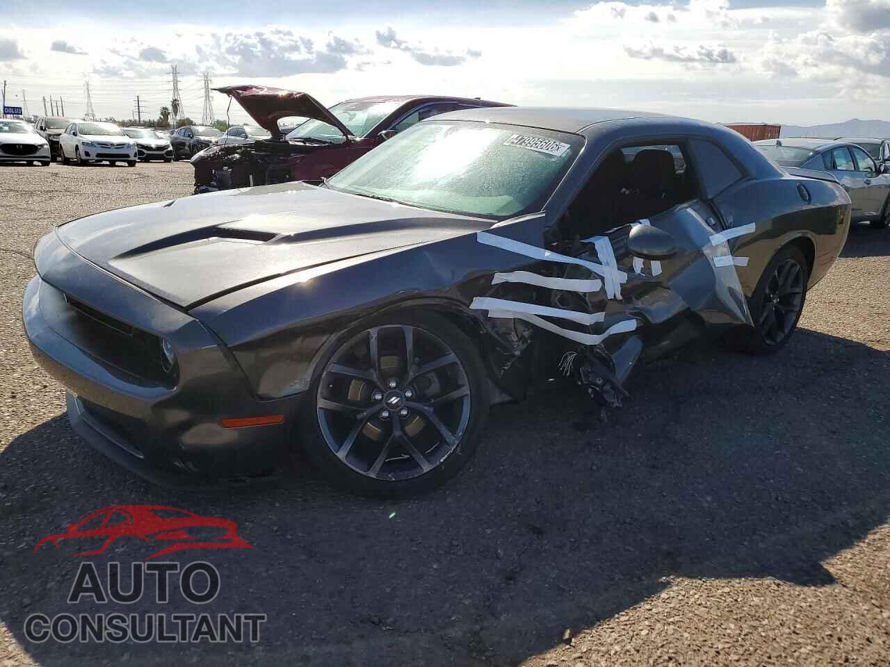 DODGE CHALLENGER 2019 - 2C3CDZAG4KH503941