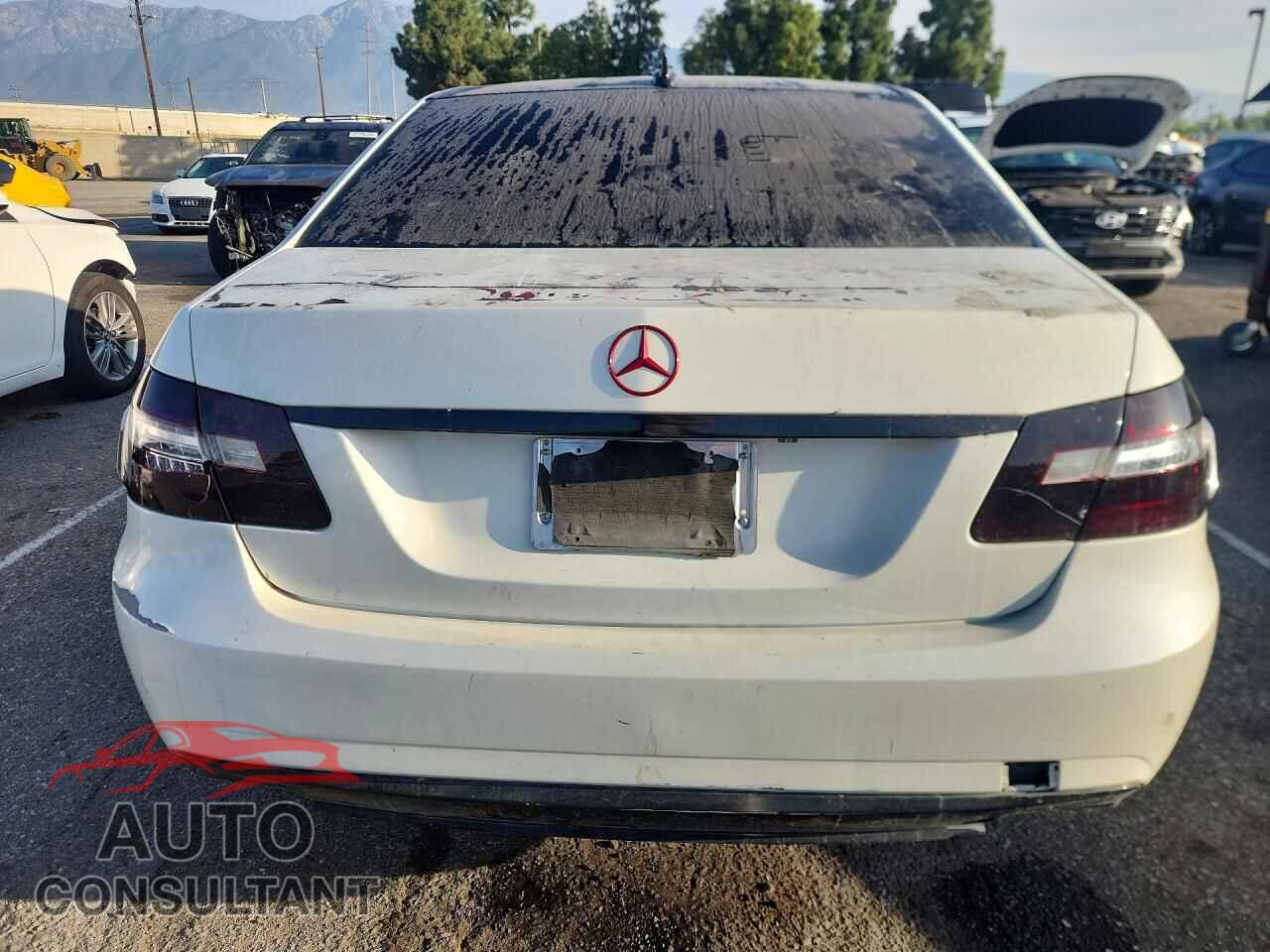 MERCEDES-BENZ E-CLASS 2010 - WDDHF5GB1AA129811