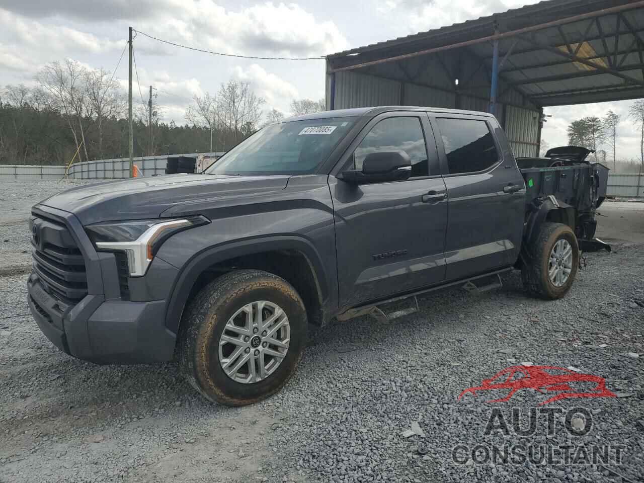 TOYOTA TUNDRA 2024 - 5TFLA5DB9RX141589