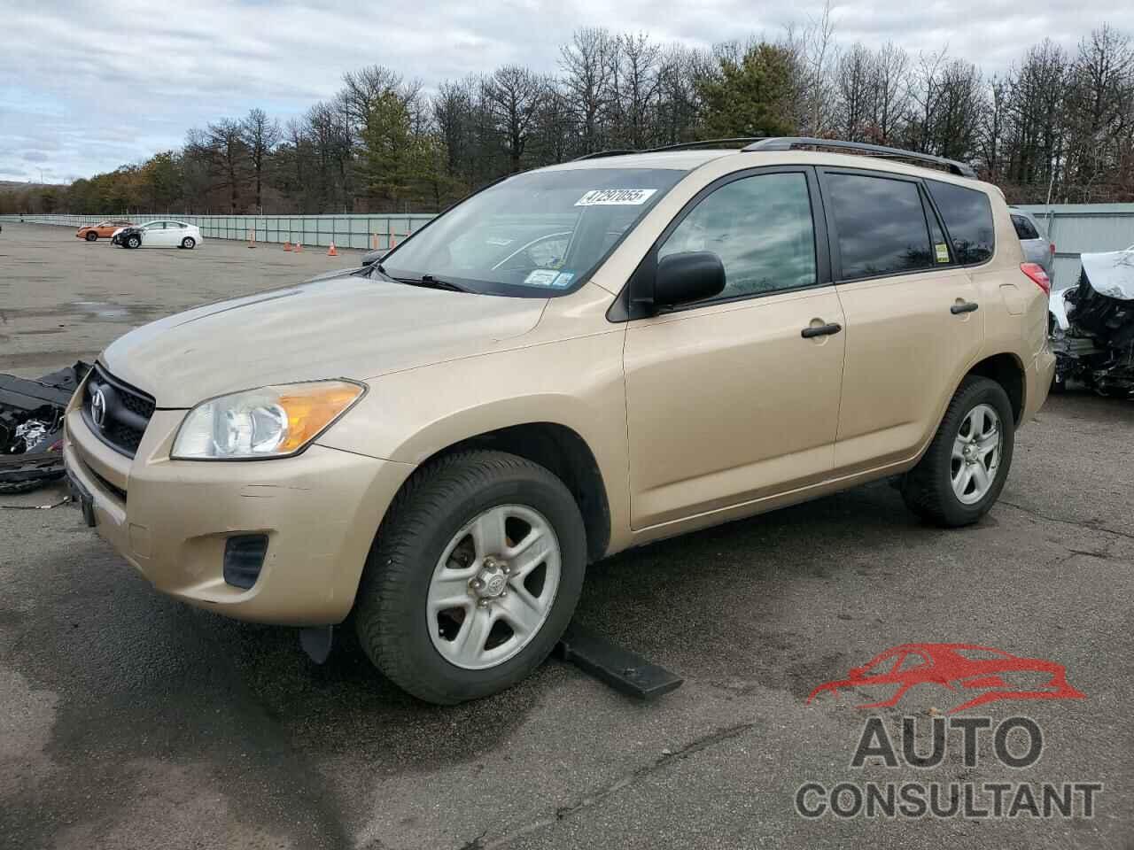 TOYOTA RAV4 2010 - 2T3BF4DV3AW066530