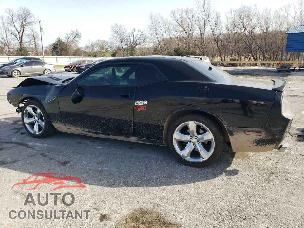 DODGE CHALLENGER 2012 - 2C3CDYBT1CH284783