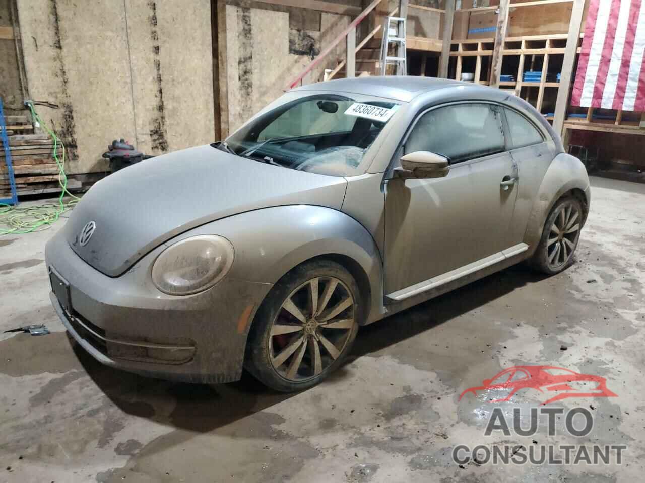VOLKSWAGEN BEETLE 2013 - 3VW467AT9DM625949