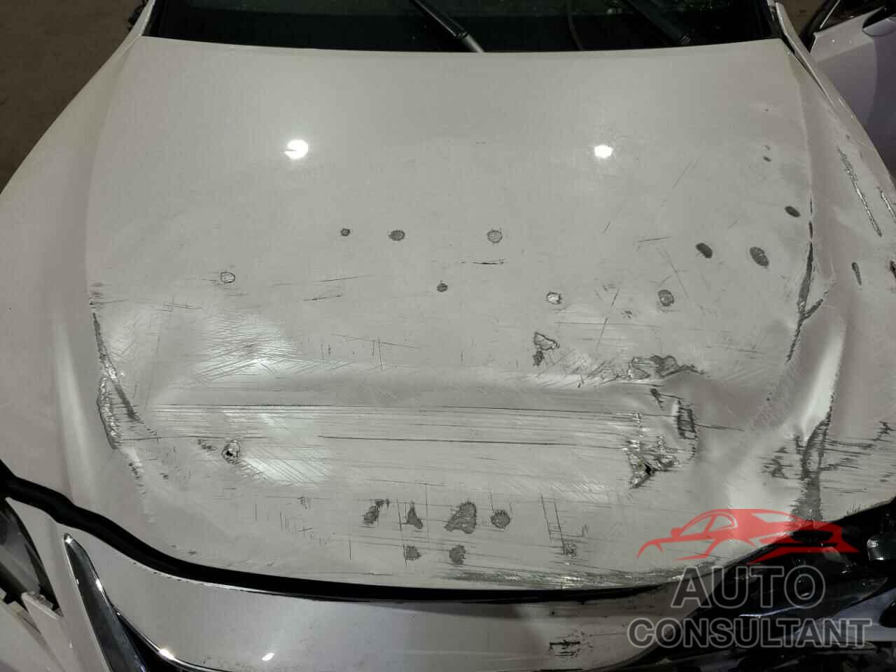 LEXUS ES350 2022 - 58ADZ1B10NU136071