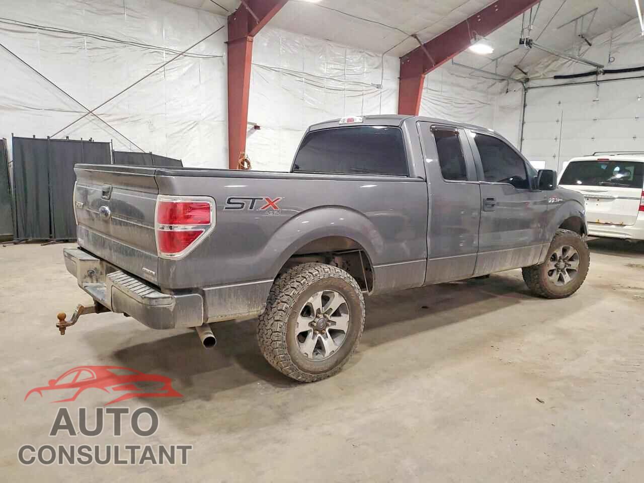 FORD F150 2014 - 1FTFX1EF8EFB65825