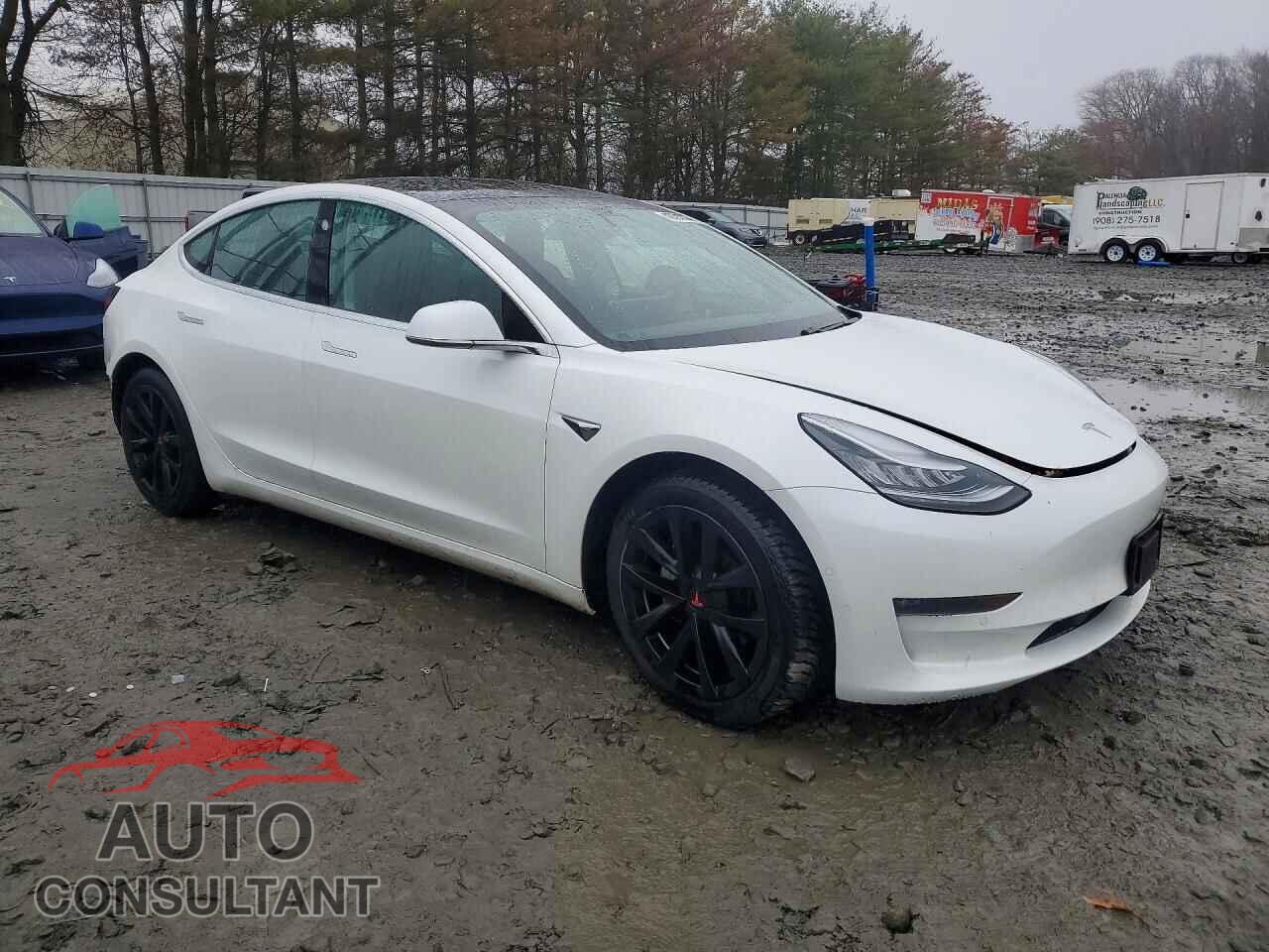 TESLA MODEL 3 2019 - 5YJ3E1EA9KF401430