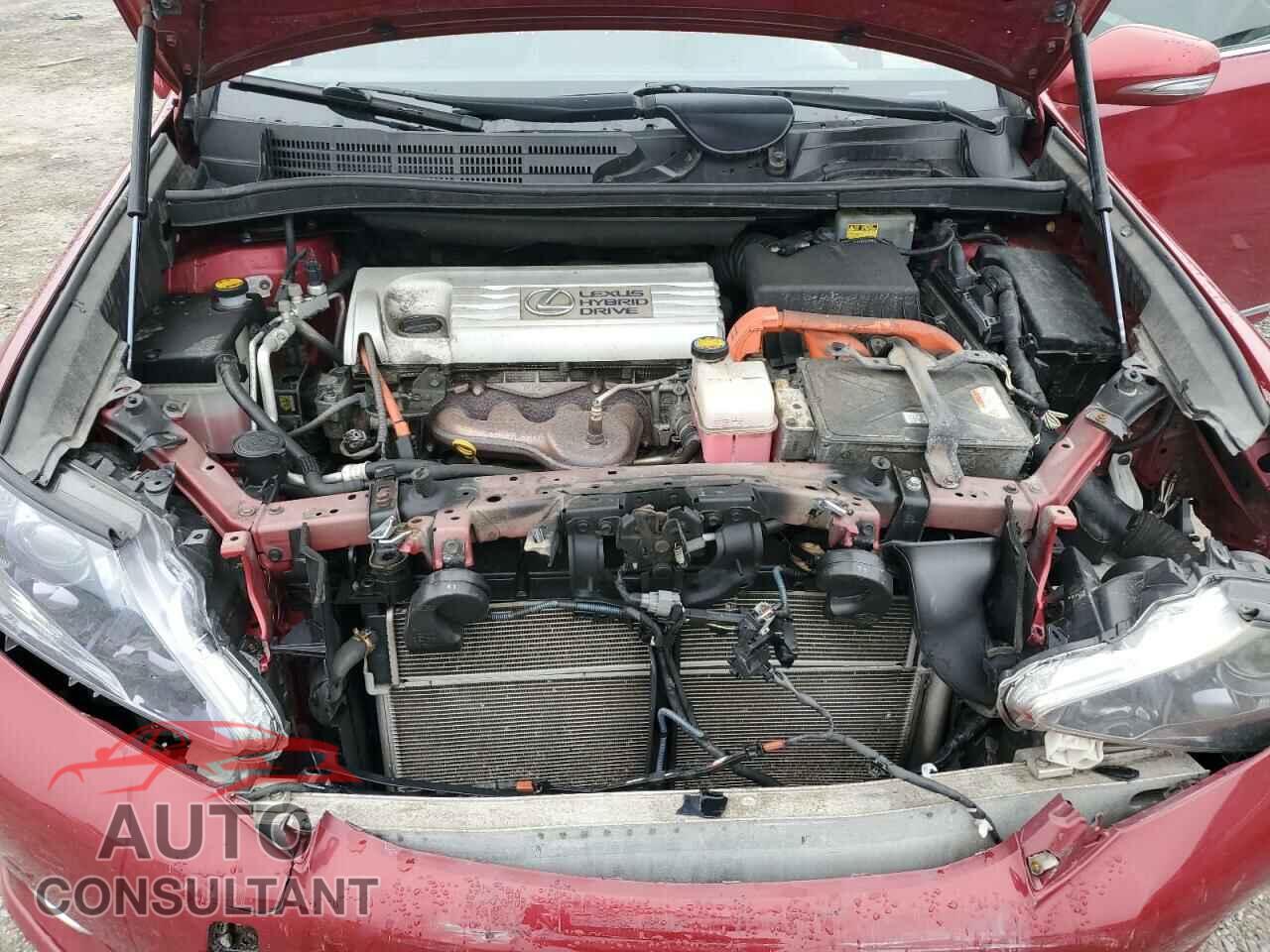 LEXUS HS 2010 - JTHBB1BA1A2037738