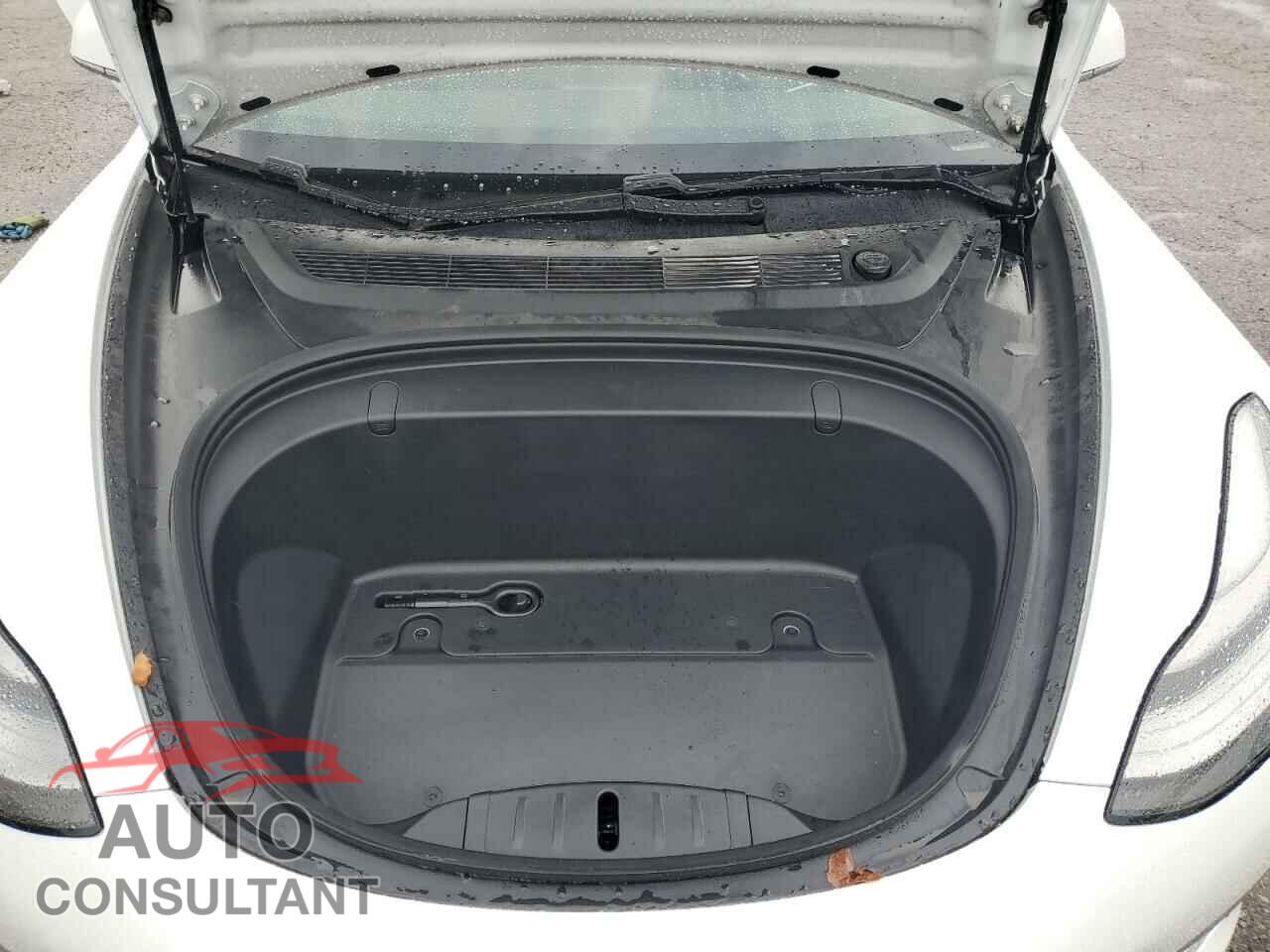 TESLA MODEL 3 2019 - 5YJ3E1EA7KF446611
