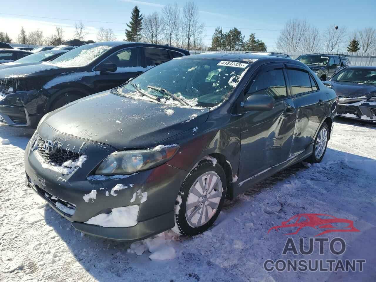 TOYOTA COROLLA 2009 - 2T1BU40E39C017359