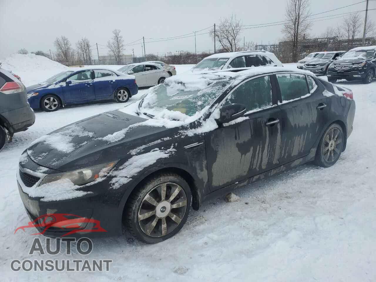 KIA OPTIMA 2011 - KNAGN4A74B5233840