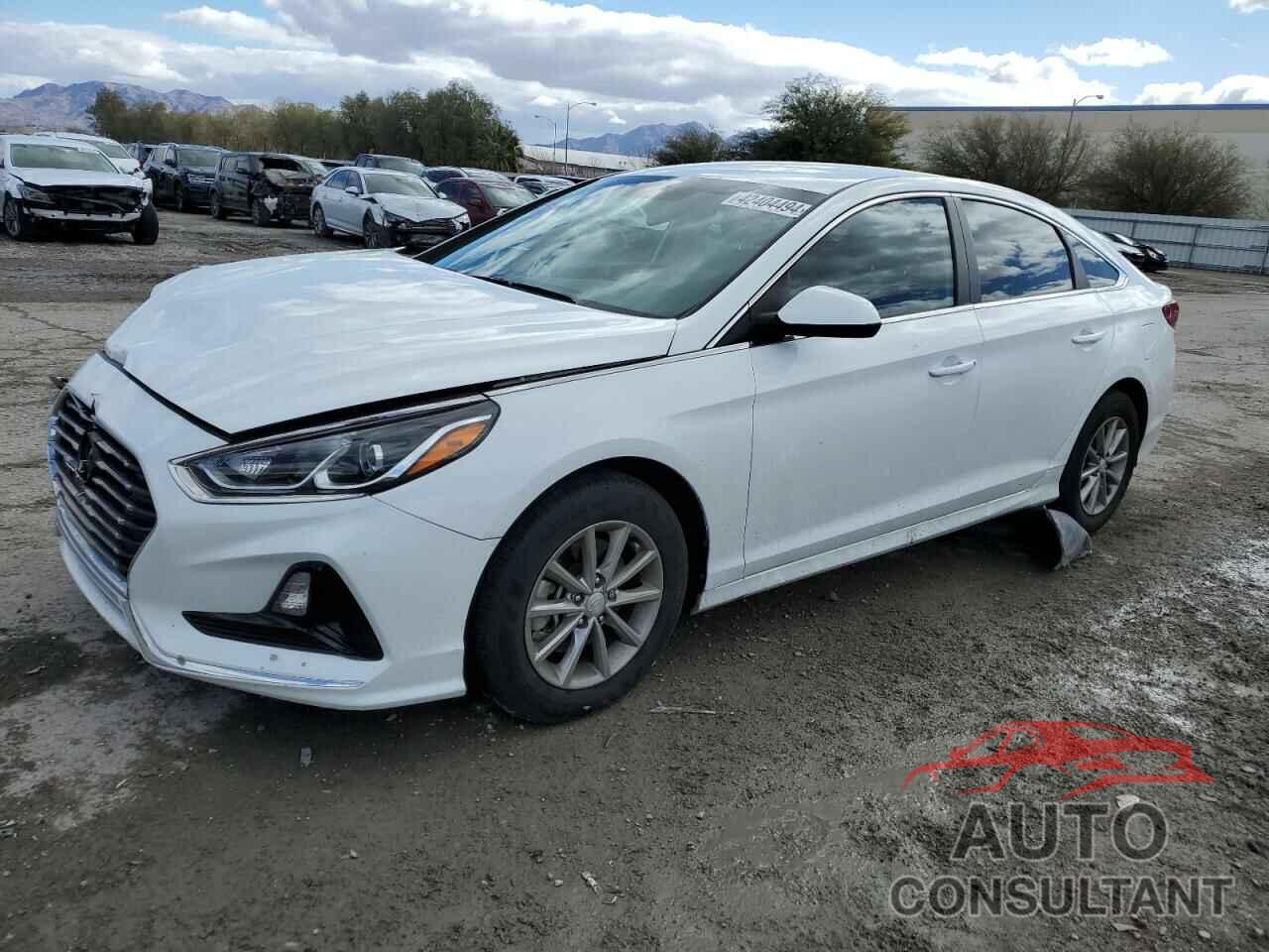 HYUNDAI SONATA 2019 - 5NPE24AF3KH796680