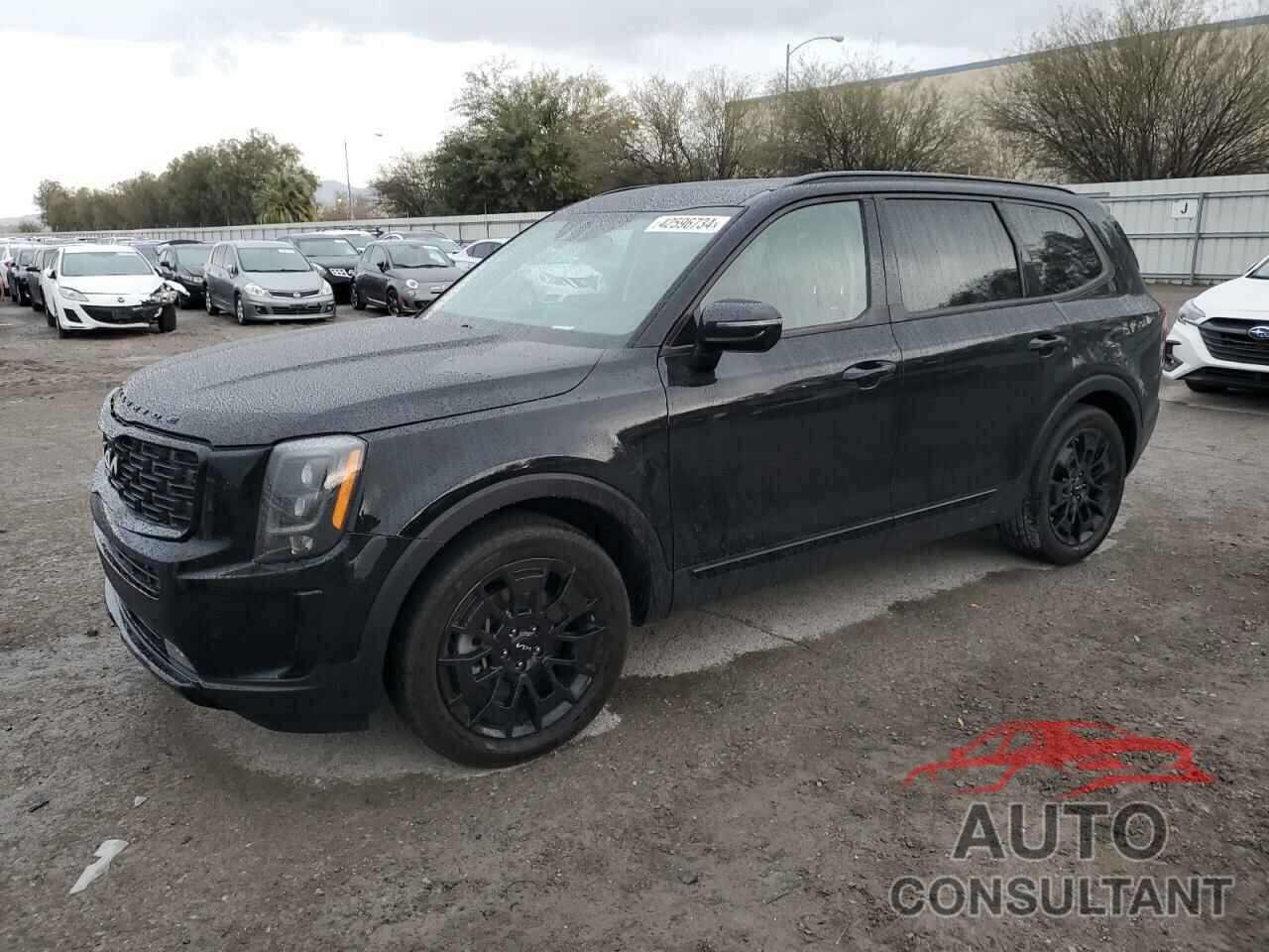 KIA TELLURIDE 2022 - 5XYP5DHC6NG253878