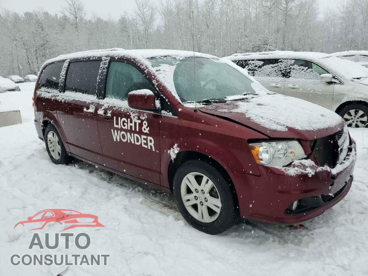 DODGE CARAVAN 2020 - 2C4RDGDG1LR200620