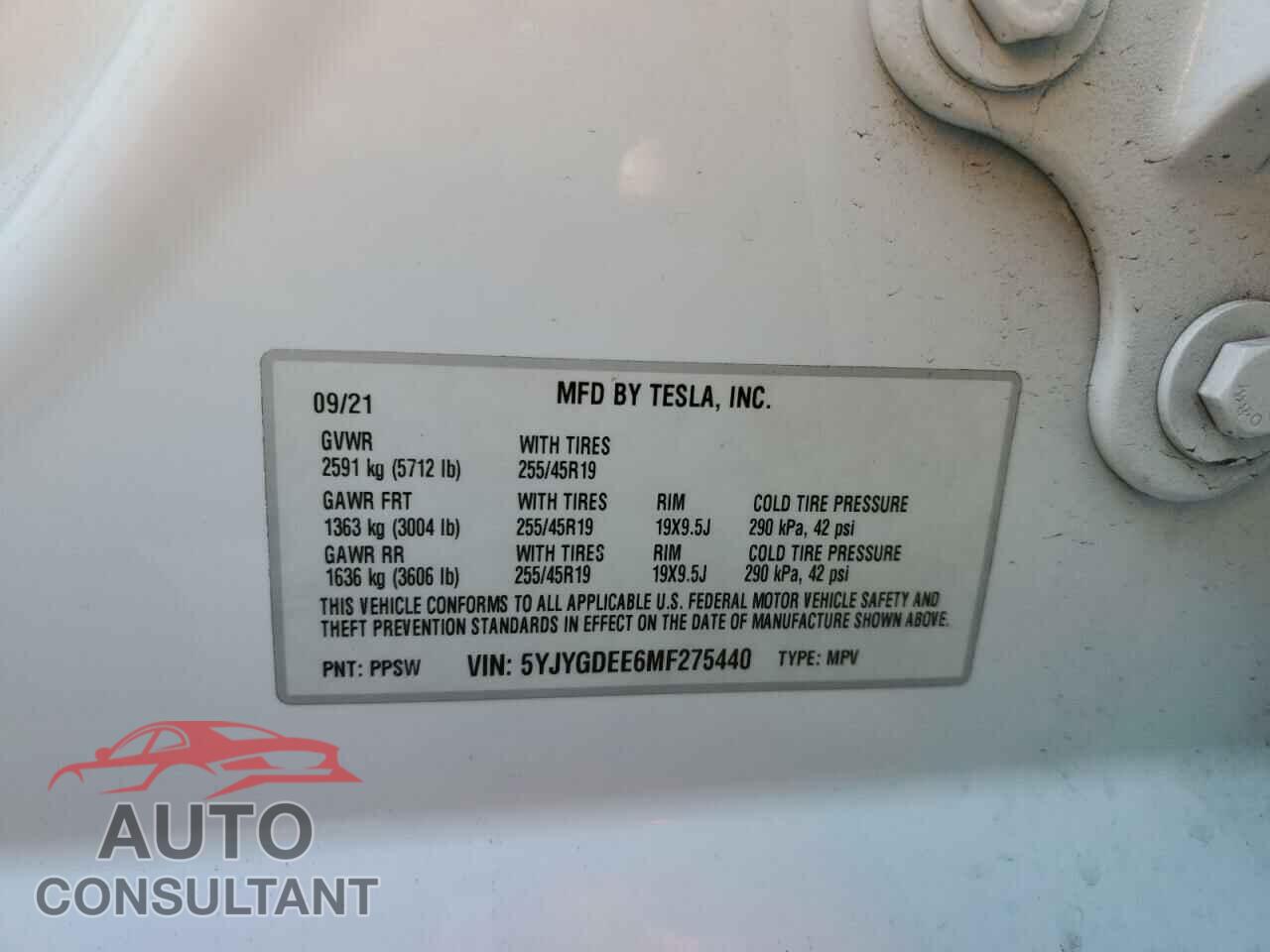 TESLA MODEL Y 2021 - 5YJYGDEE6MF275440