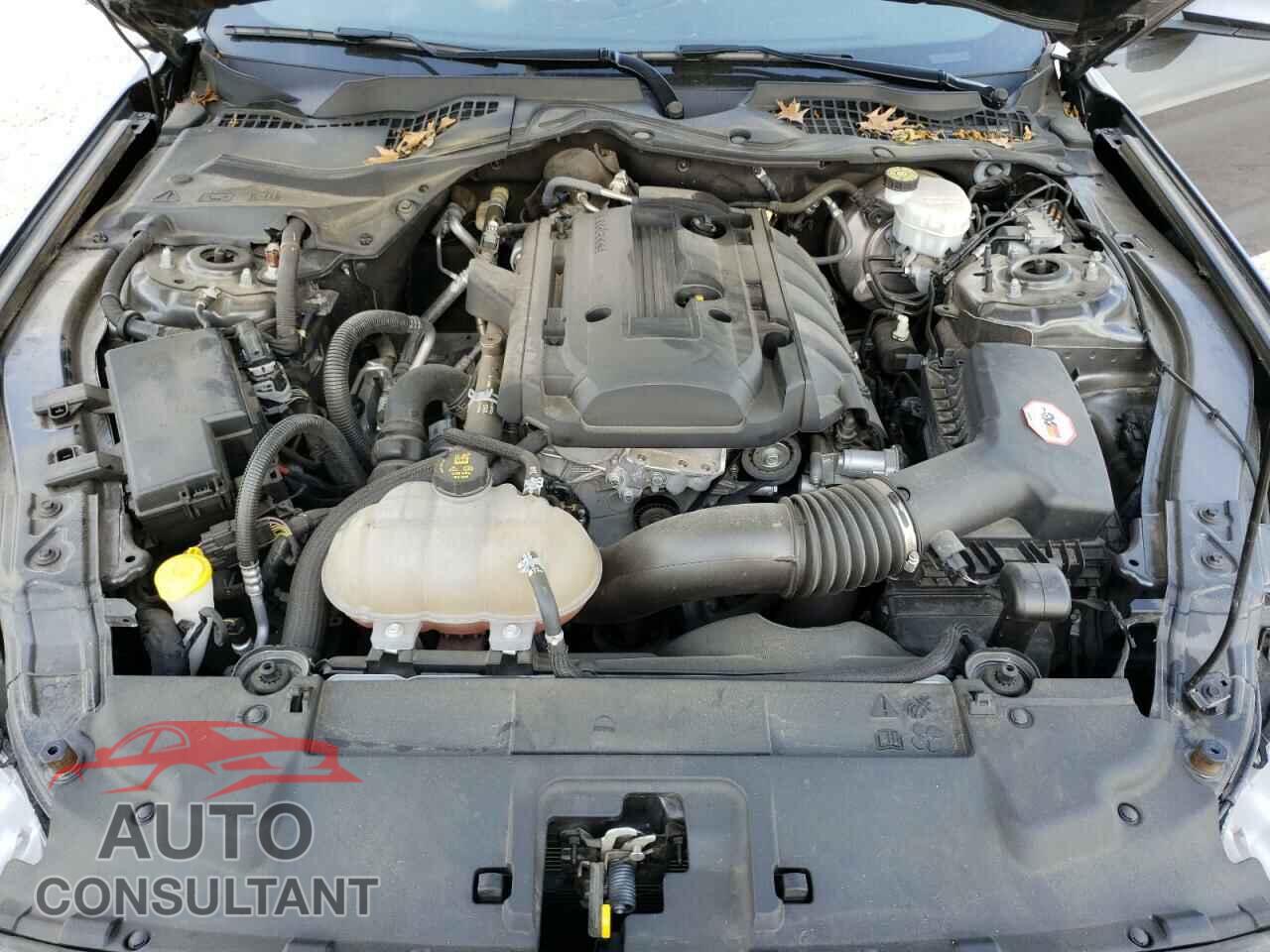 FORD MUSTANG 2019 - 1FA6P8TH9K5106092