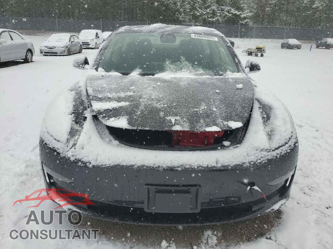 TESLA MODEL 3 2019 - 5YJ3E1EA5KF426700