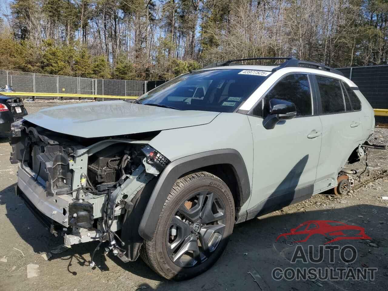 TOYOTA RAV4 2023 - 2T3J1RFV8PW359854