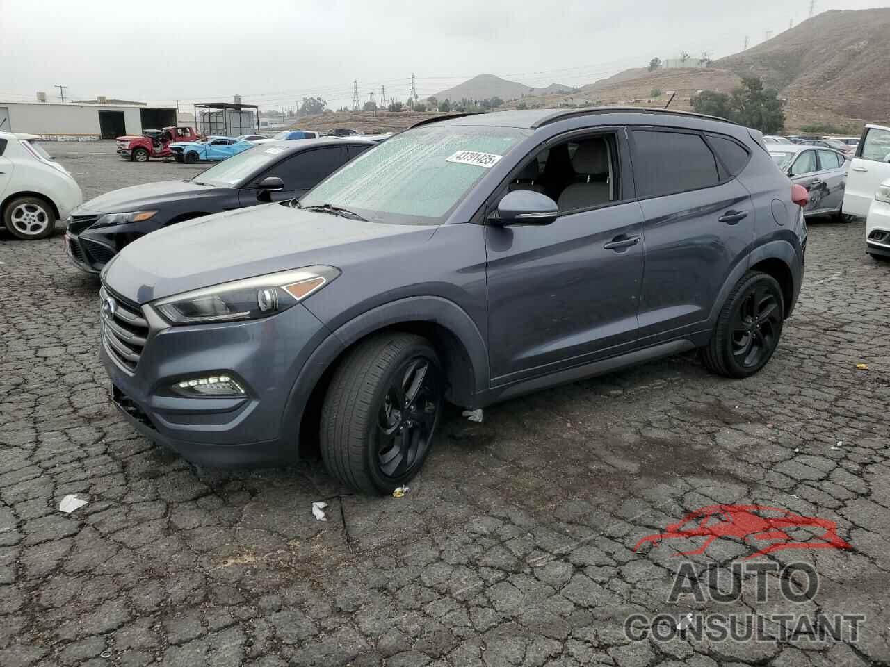 HYUNDAI TUCSON 2016 - KM8J33A22GU194414