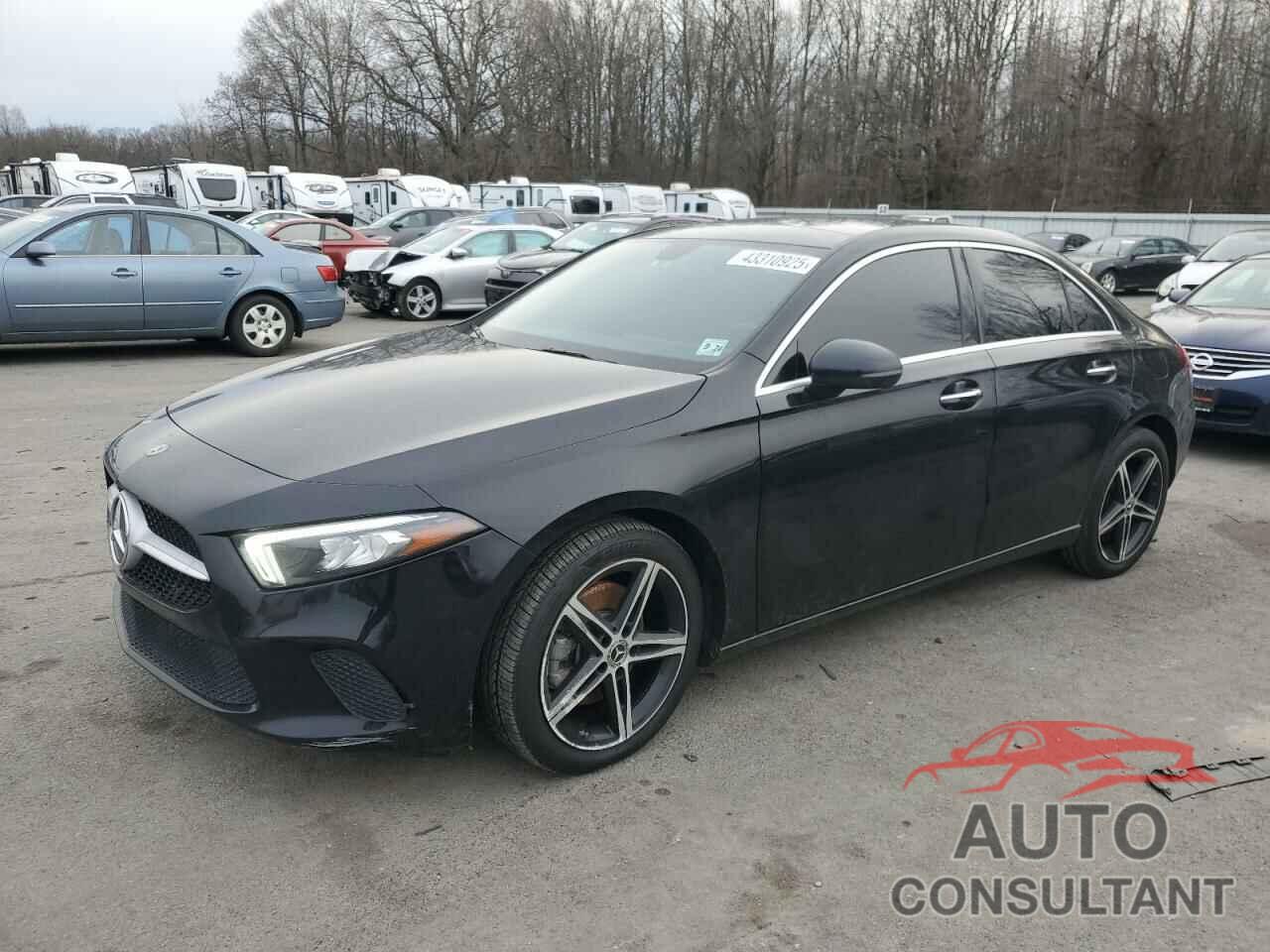 MERCEDES-BENZ A-CLASS 2019 - WDD3G4FB9KW024294