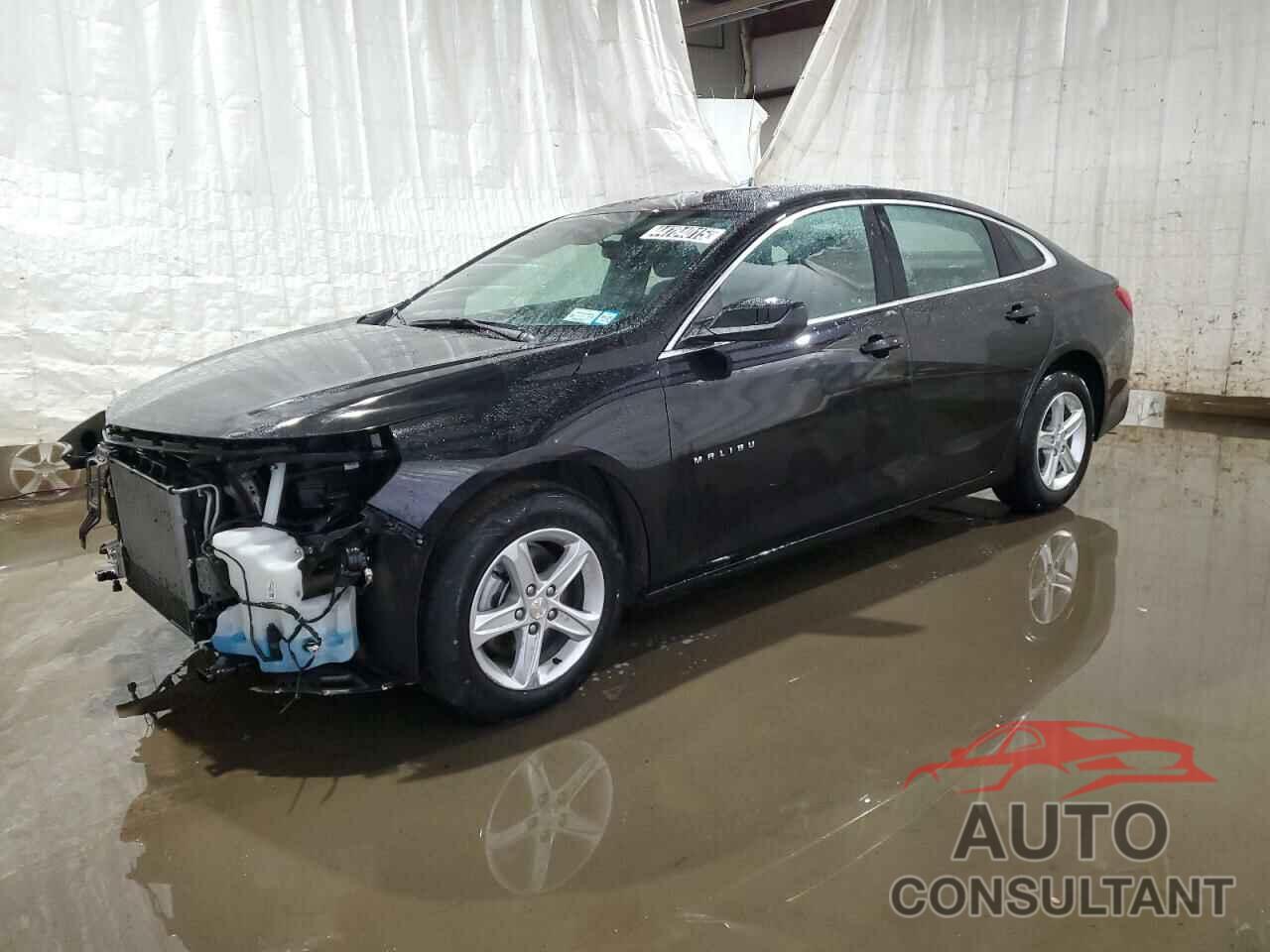 CHEVROLET MALIBU 2024 - 1G1ZD5ST6RF204501