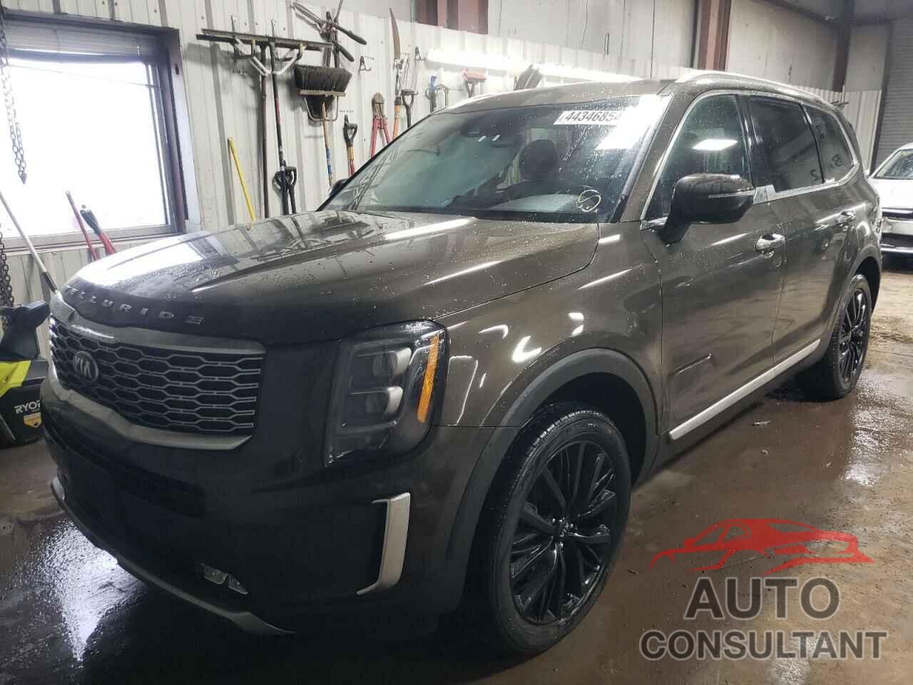 KIA TELLURIDE 2021 - 5XYP54HC4MG131096