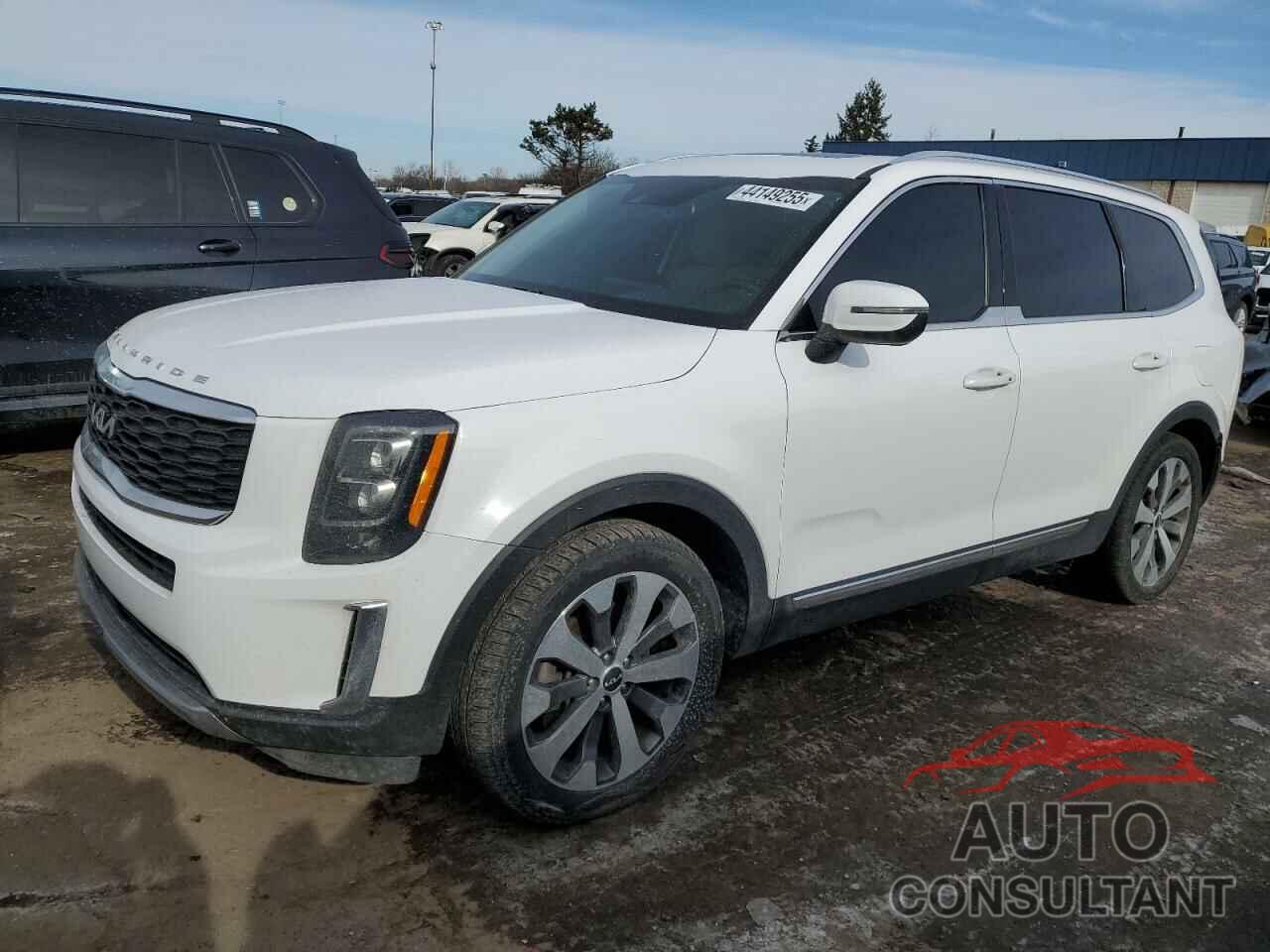 KIA TELLURIDE 2022 - 5XYP34HC0NG212877
