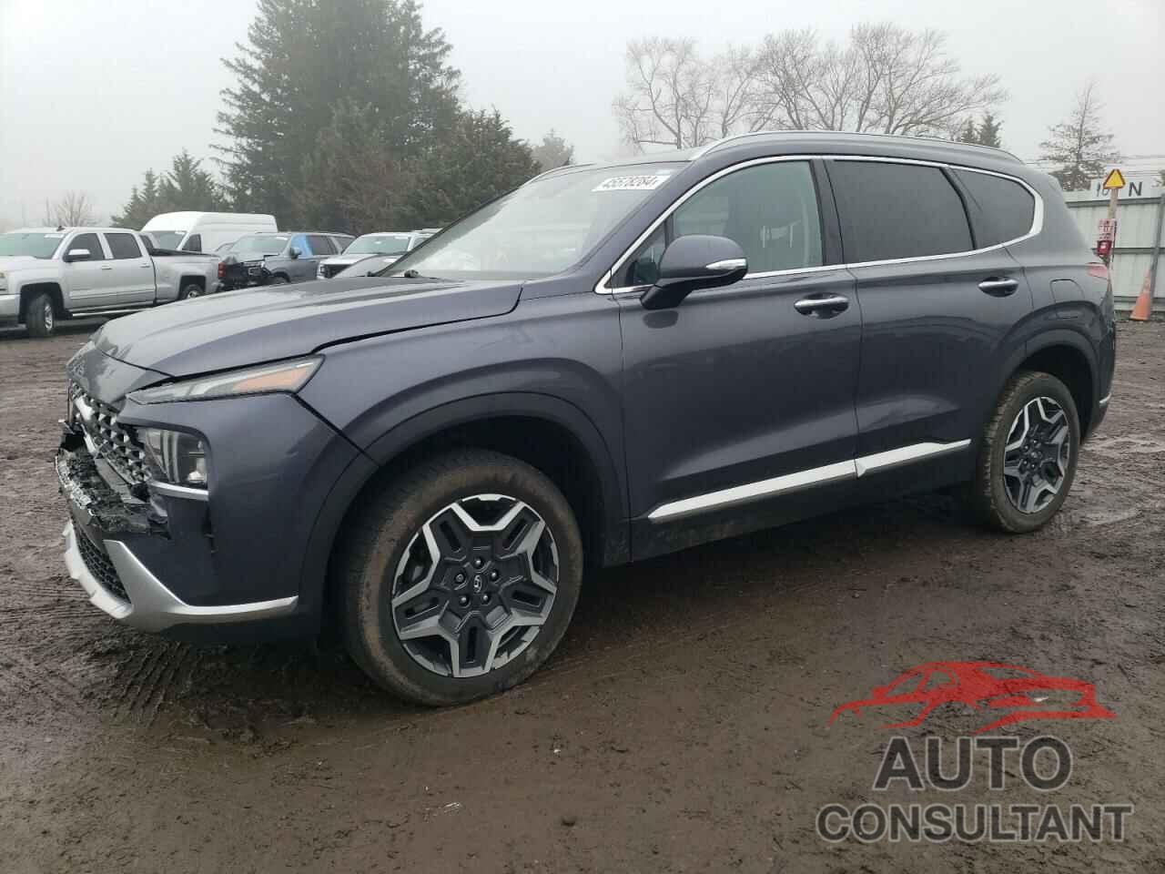 HYUNDAI SANTA FE 2022 - KM8S6DA28NU035959