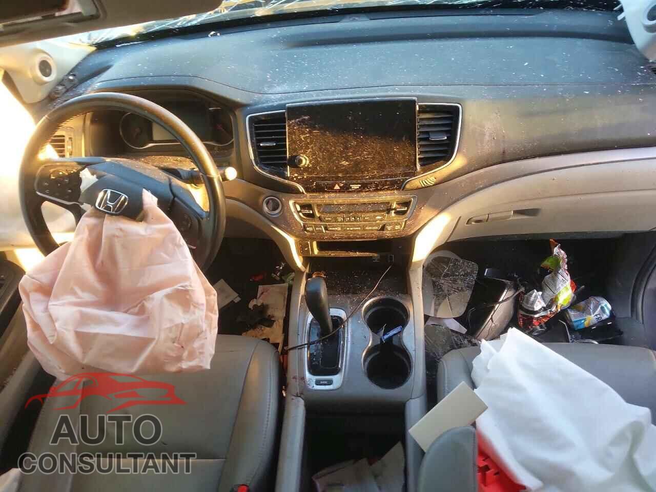 HONDA PILOT 2019 - 5FNYF5H52KB011682