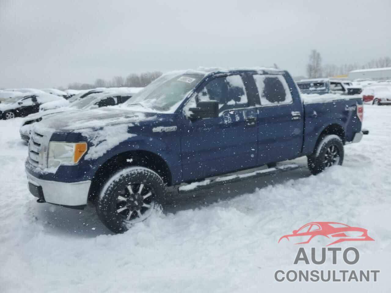 FORD F-150 2010 - 1FTEW1E8XAFD28534