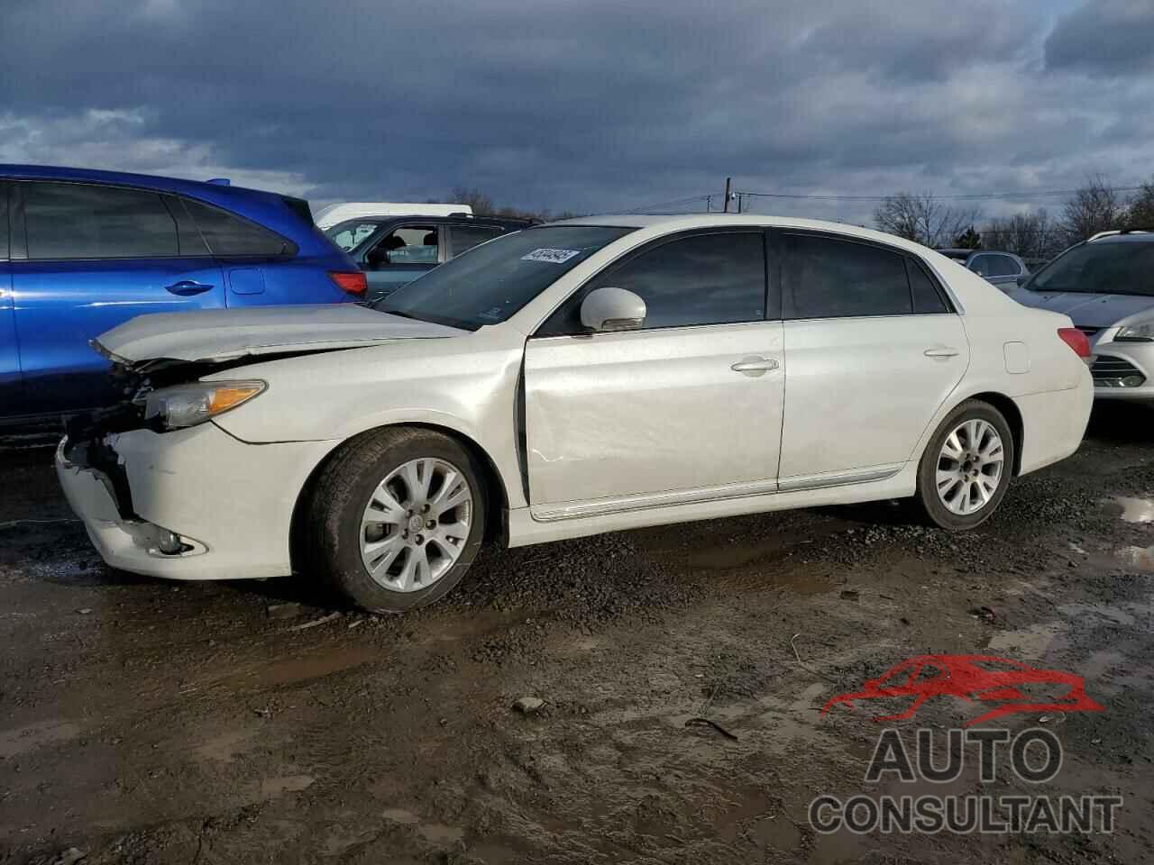 TOYOTA AVALON 2011 - 4T1BK3DB5BU428959