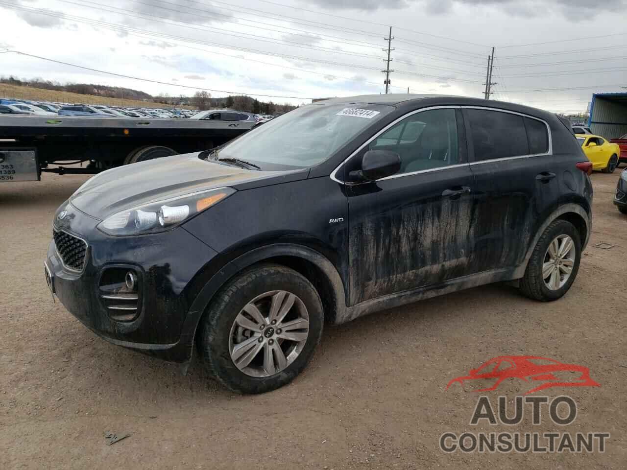 KIA SPORTAGE 2017 - KNDPMCAC0H7083008