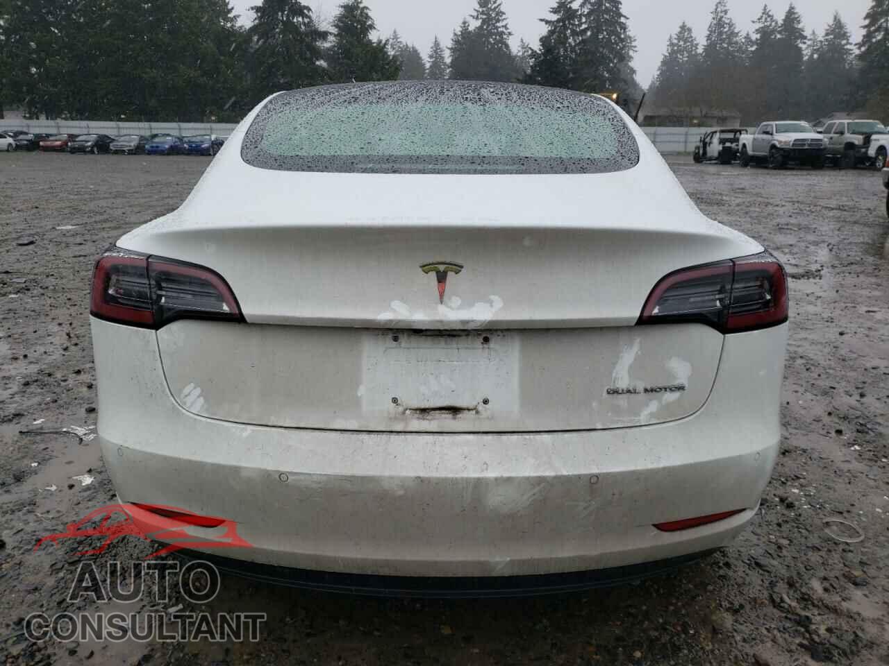 TESLA MODEL 3 2018 - 5YJ3E1EB8JF101174