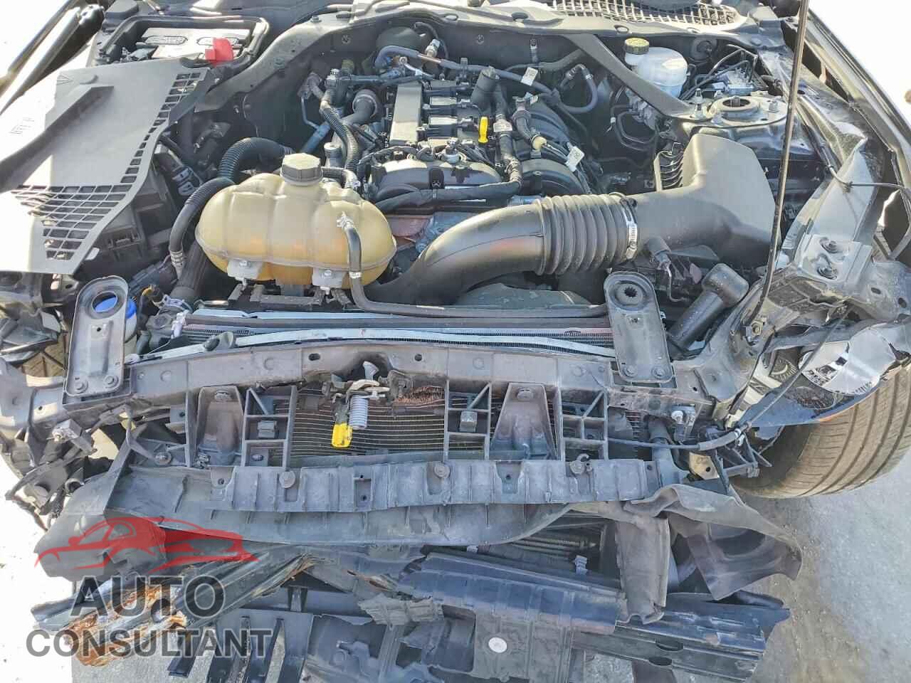 FORD MUSTANG 2021 - 1FATP8UH2M5111509