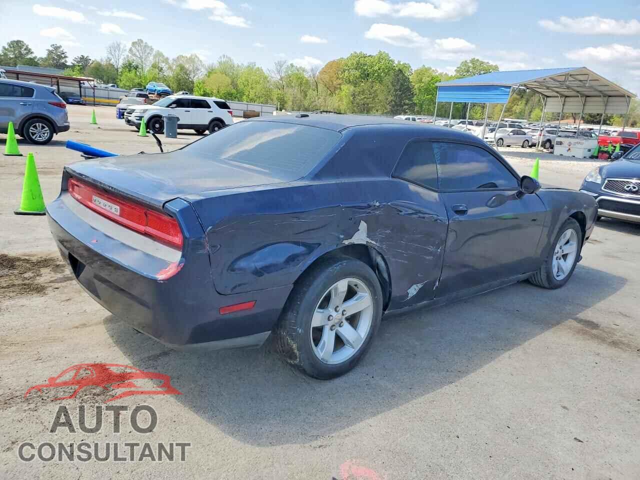 DODGE CHALLENGER 2014 - 2C3CDYAG3EH204200