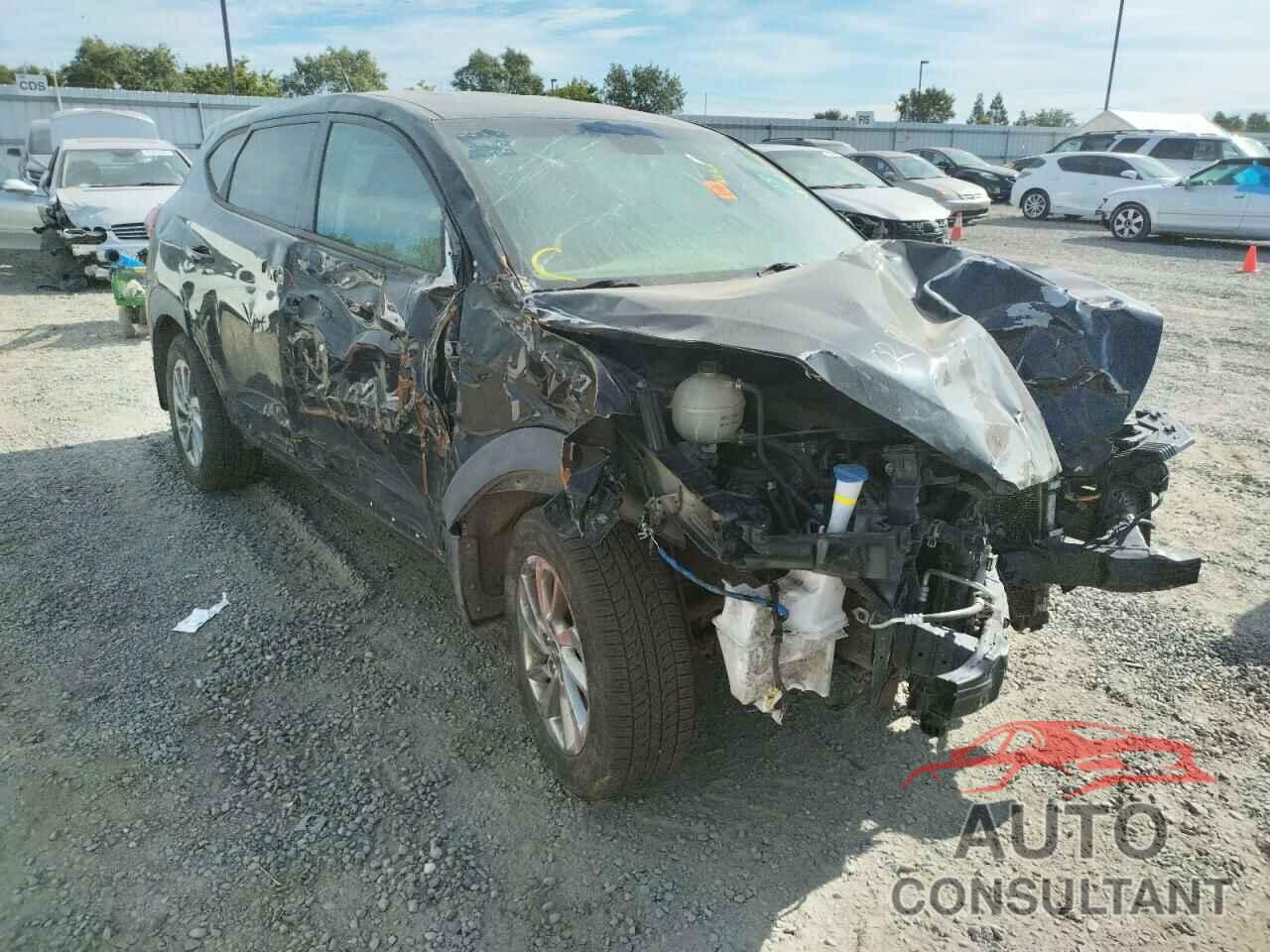 HYUNDAI TUCSON 2016 - KM8J23A49GU102364