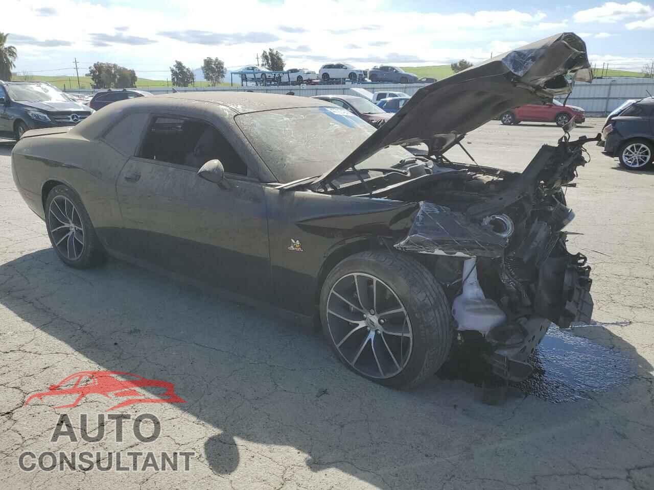 DODGE CHALLENGER 2017 - 2C3CDZFJ2HH594463