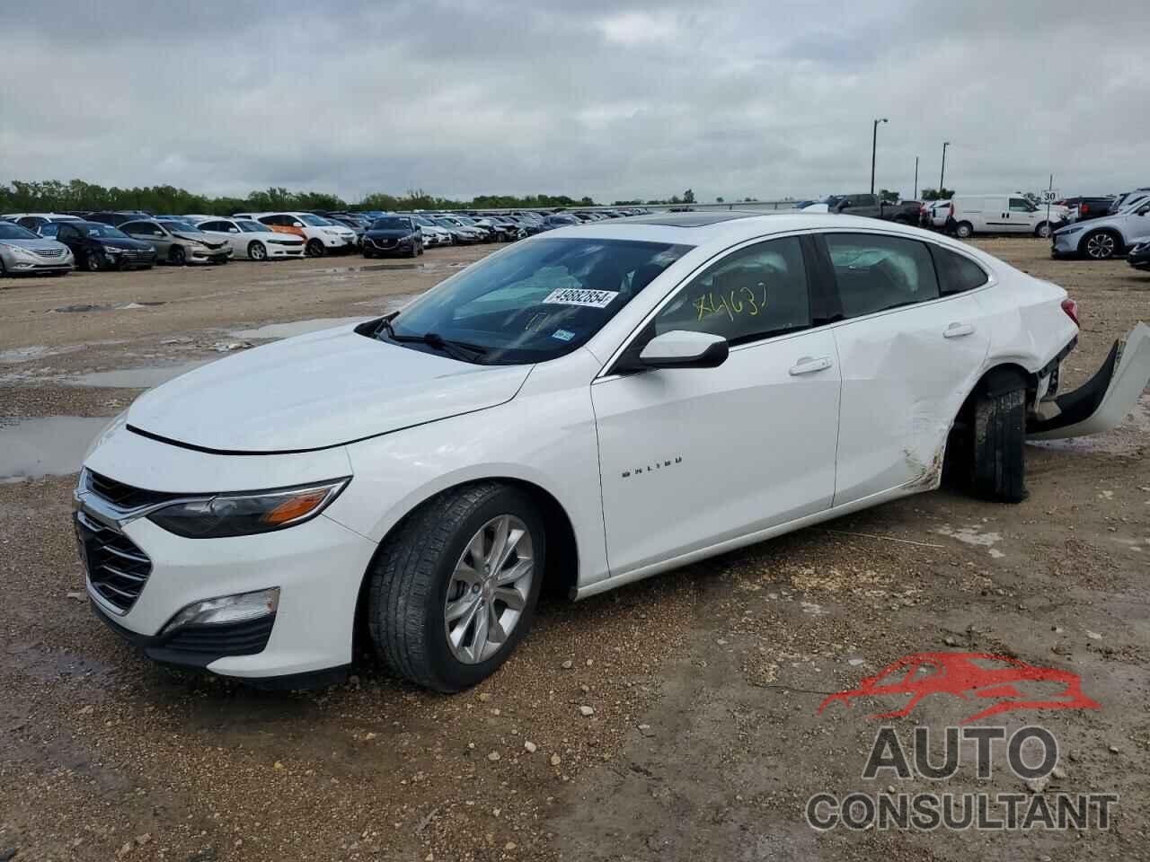 CHEVROLET MALIBU 2019 - 1G1ZD5ST4KF109862