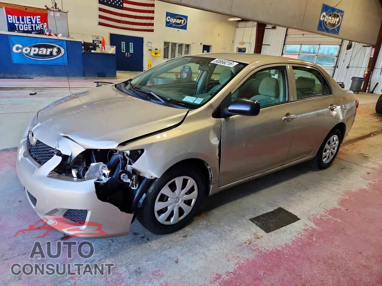 TOYOTA COROLLA 2010 - 2T1BU4EE4AC246565