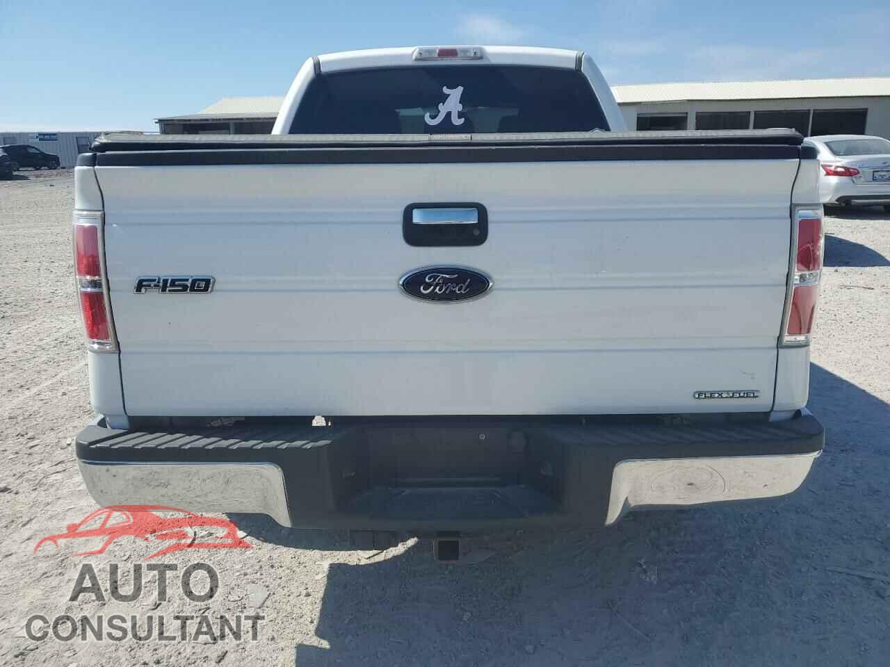 FORD F-150 2011 - 1FTEW1CM2BFC84689