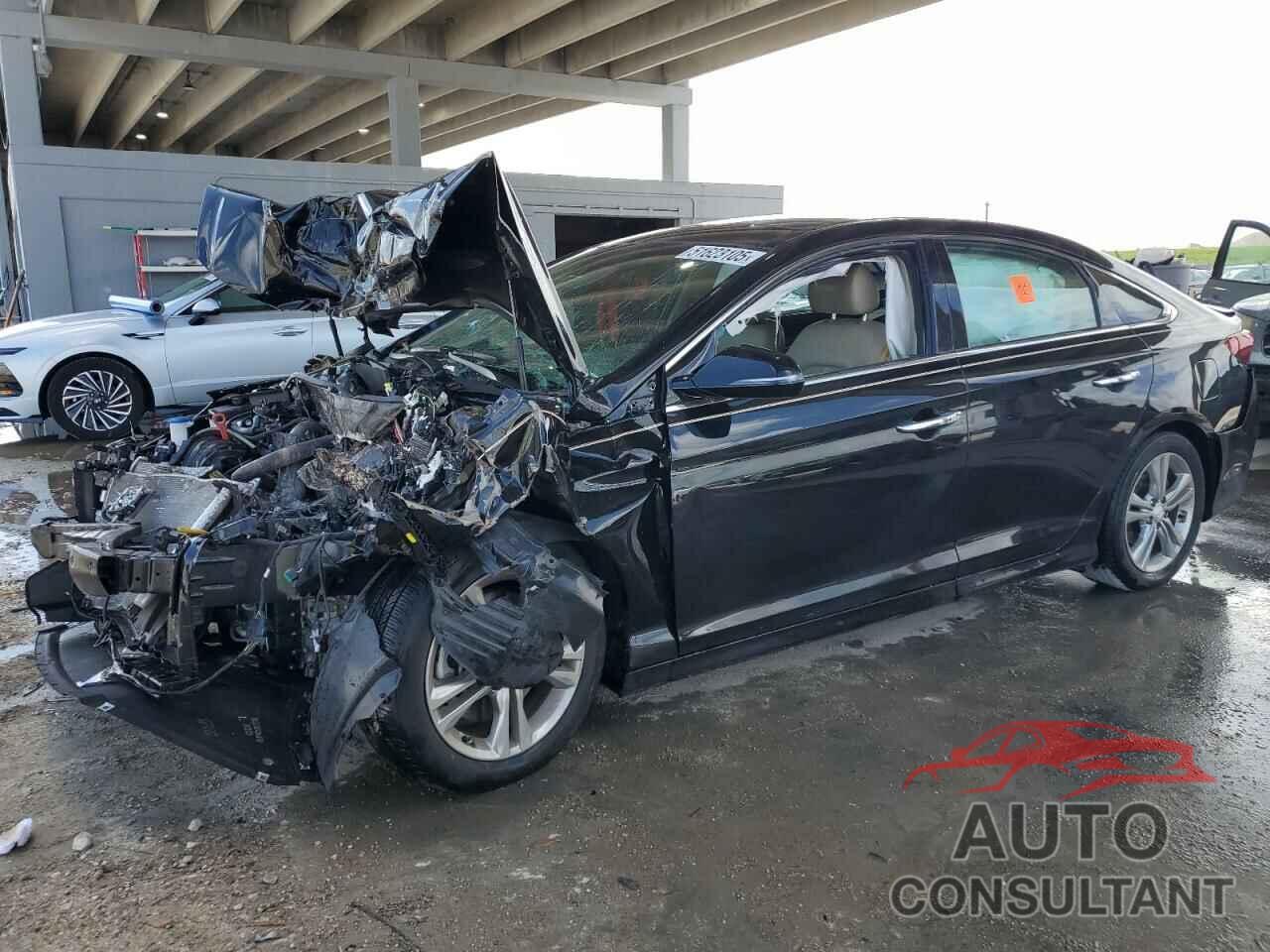 HYUNDAI SONATA 2019 - 5NPE34AF4KH776631
