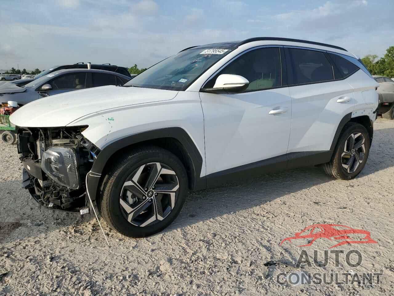 HYUNDAI TUCSON 2024 - KM8JCCD19RU164509