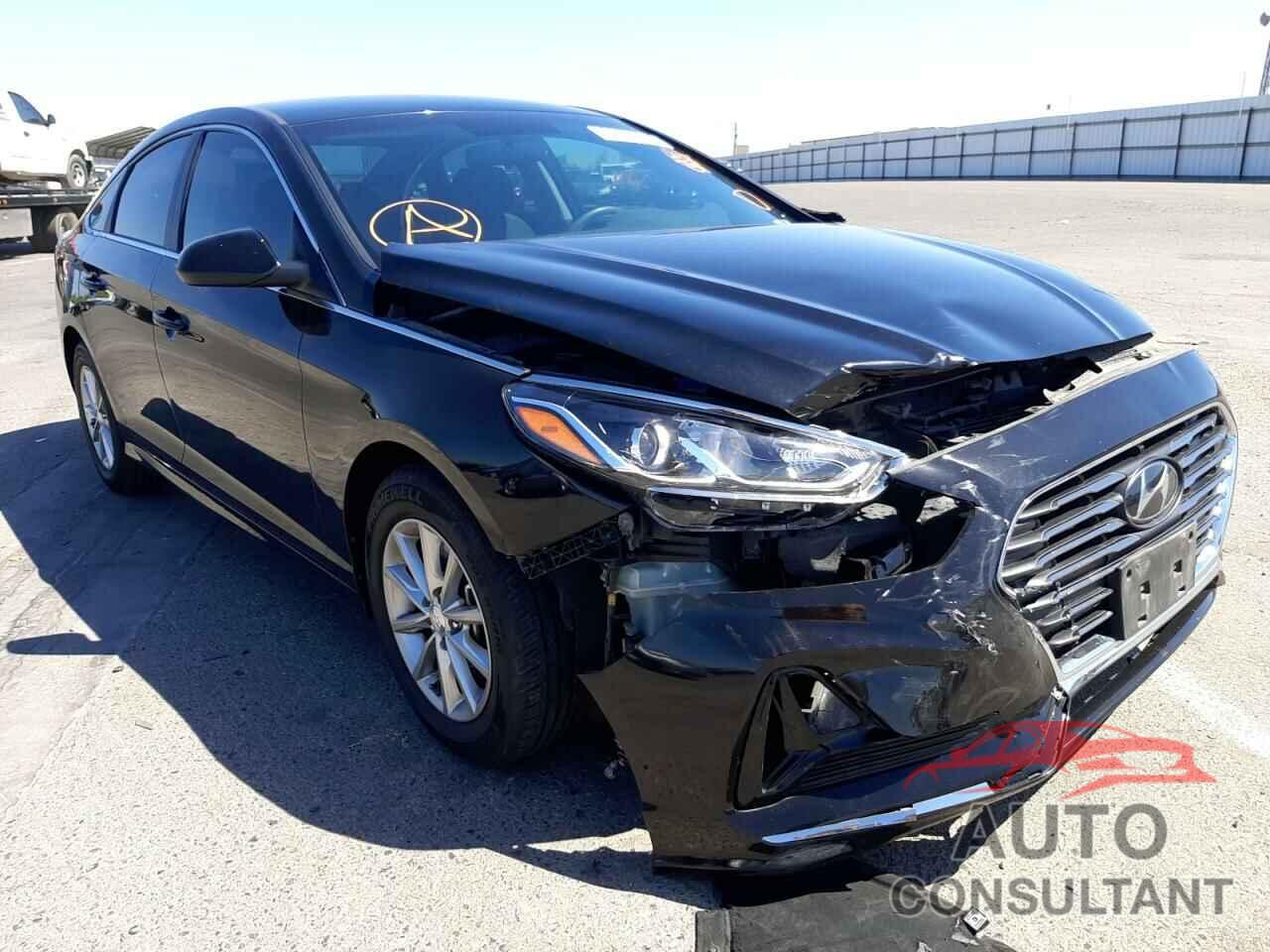 HYUNDAI SONATA 2019 - 5NPE24AF4KH773537