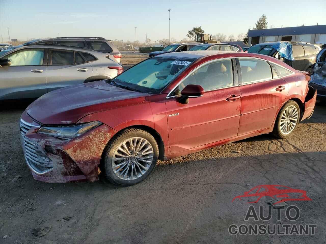 TOYOTA AVALON 2019 - 4T1B21FB7KU005379