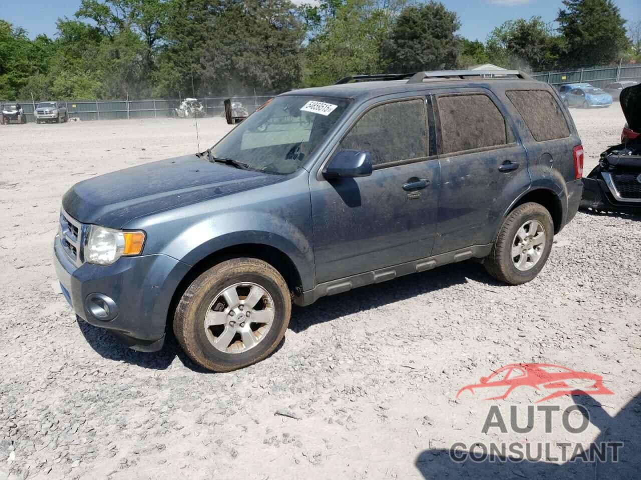 FORD ESCAPE 2010 - 1FMCU0EG2AKC58528