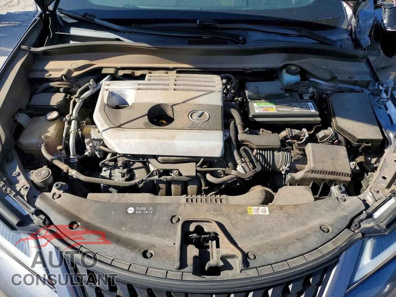 LEXUS ALL OTHER 2019 - JTHY3JBH2K2014457