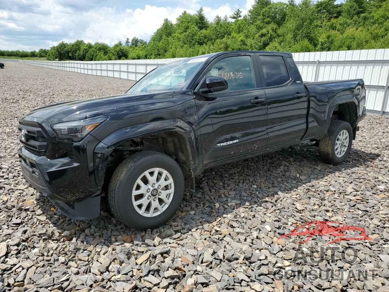 TOYOTA TACOMA 2024 - 3TMLB5JN0RM019656