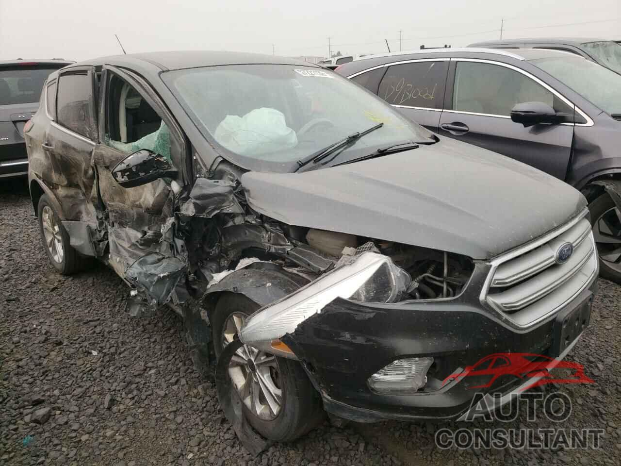 FORD ESCAPE 2019 - 1FMCU9GD4KUC33787