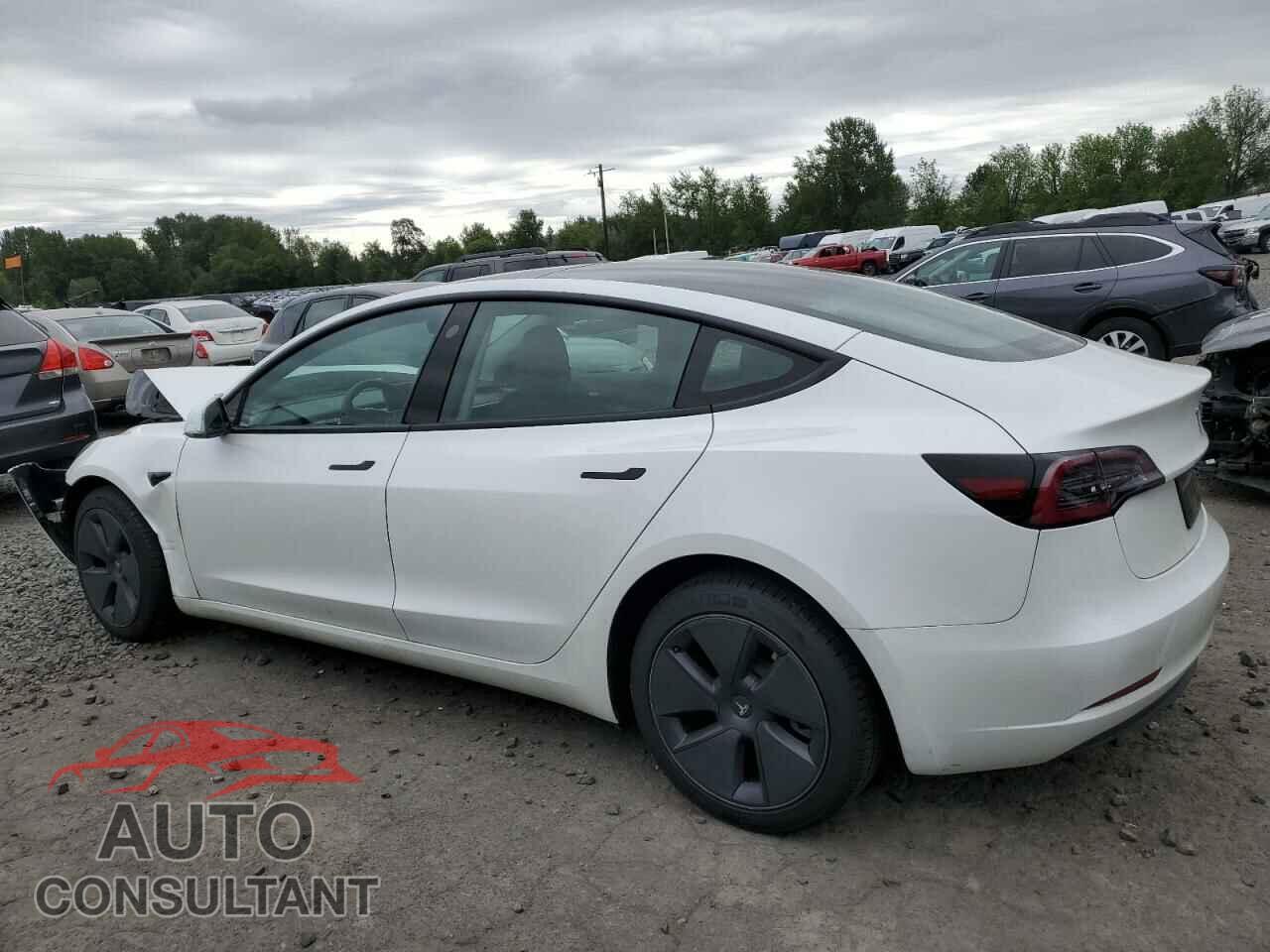 TESLA MODEL 3 2023 - 5YJ3E1EA2PF564136
