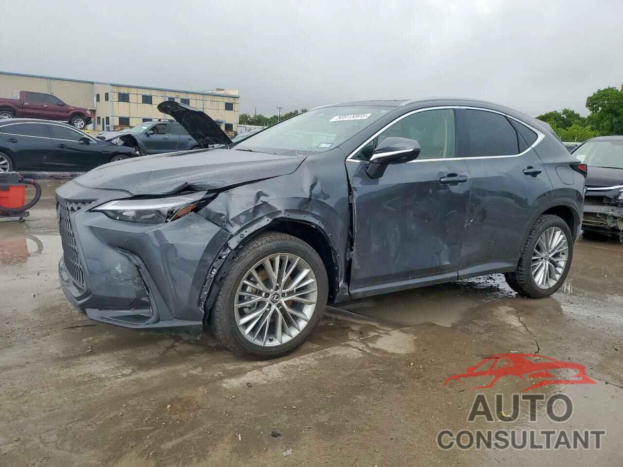 LEXUS NX 350 PRE 2025 - 2T2GGCEZ7SC077889