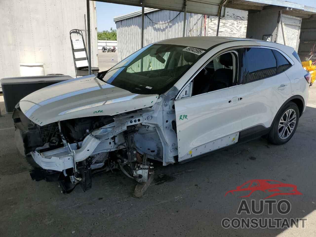 FORD ESCAPE 2022 - 1FMCU0H62NUB22218