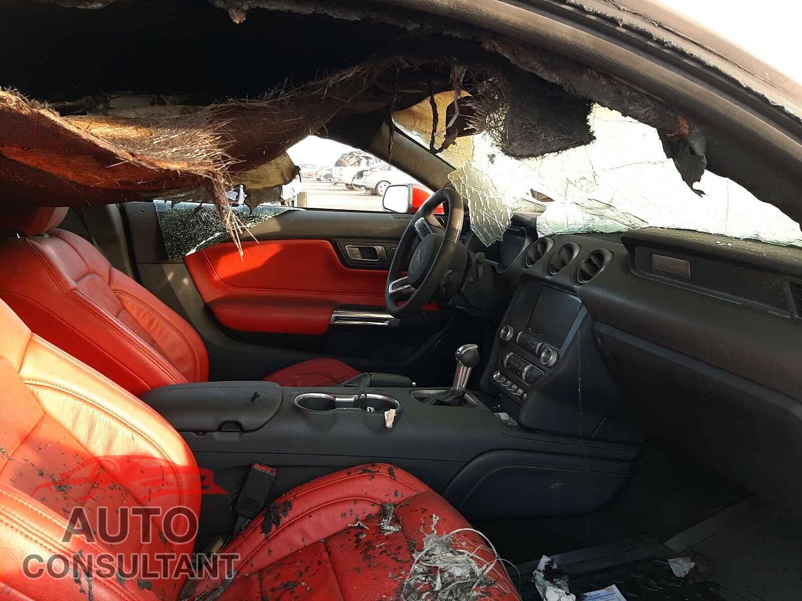 FORD MUSTANG 2019 - 1FA6P8CF3K5189355
